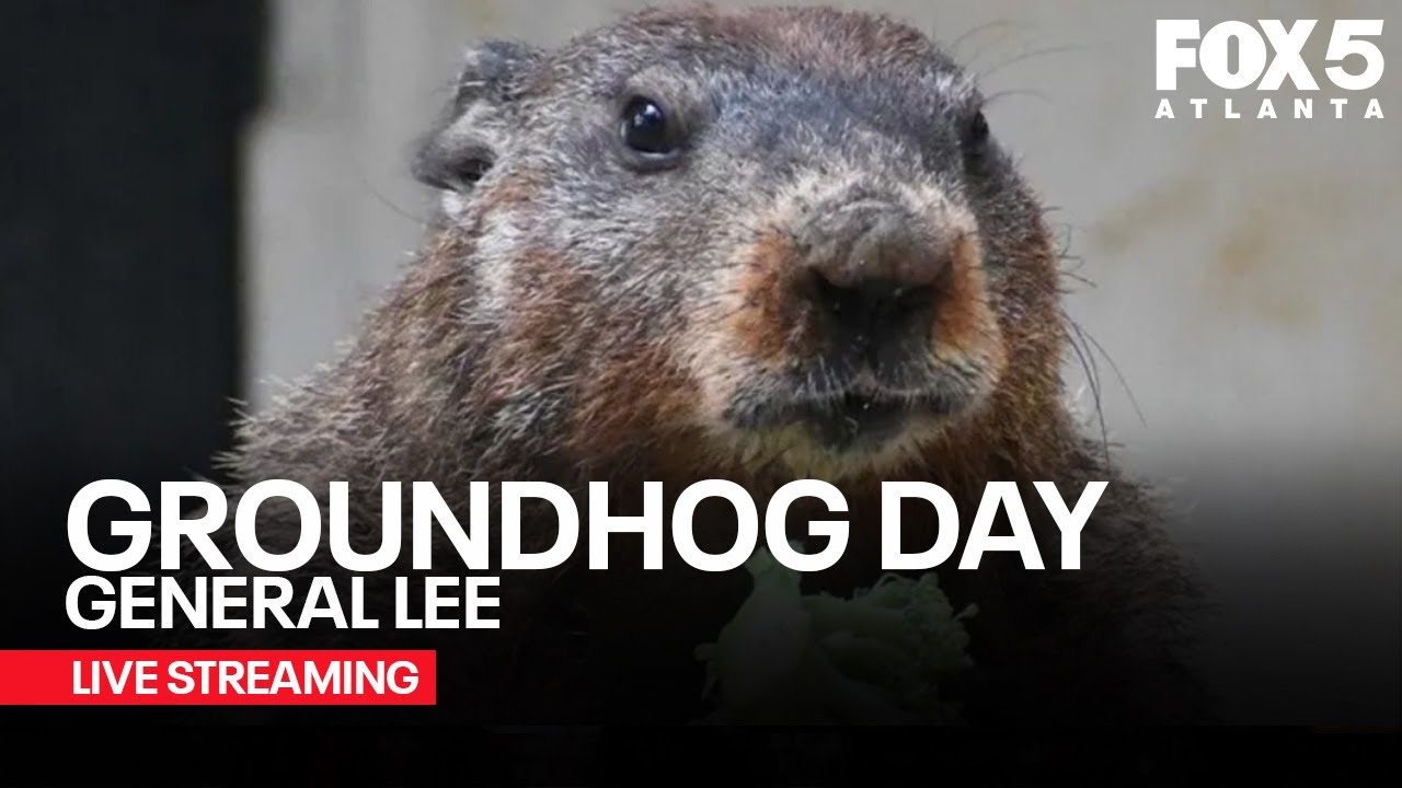 WATCH LIVE: Groundhog Day 2025 | Did General Beauregard Lee see his shadow?