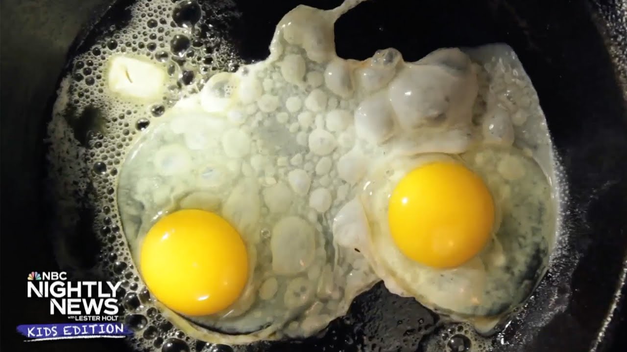Why you might find yourselves scrambling for eggs | Nightly News: Kids Edition