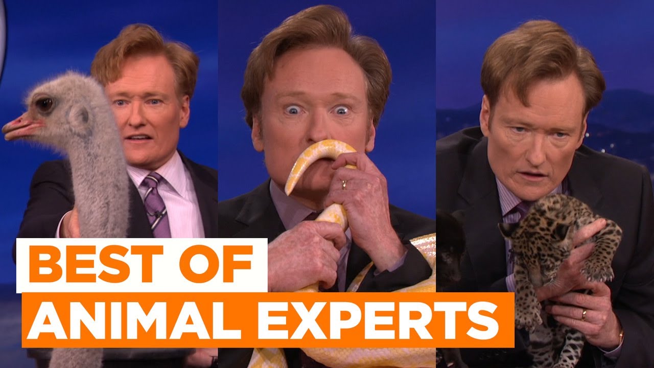 Best Of Animal Experts: Burmese Python & Anteater | CONAN on TBS