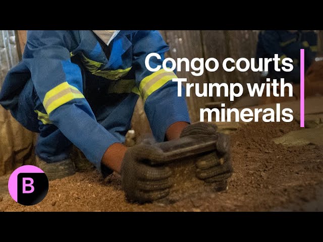 Congo Asks for Trump Meeting on Strategic Minerals Deal as War With M23 Looms