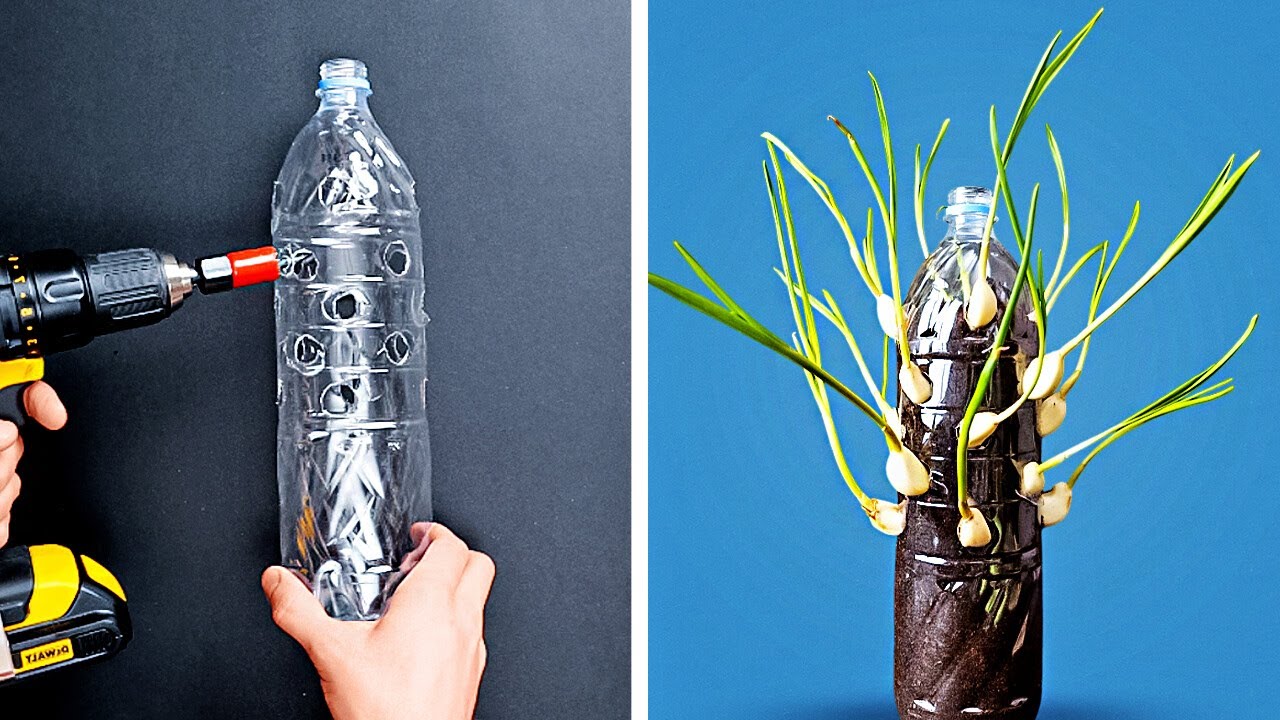 Easy Hacks for Your Home Garden – Gardening Tips