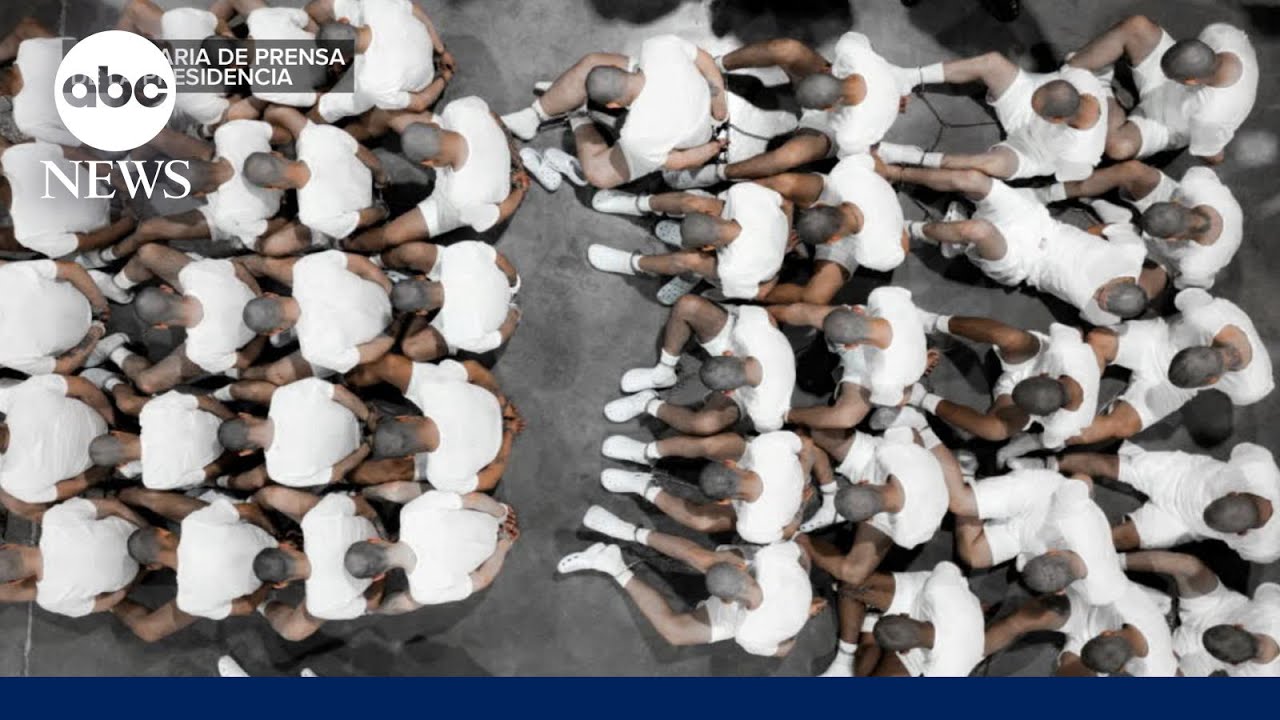 Inside Trump’s deportation flights to El Salvador at heart of legal battle