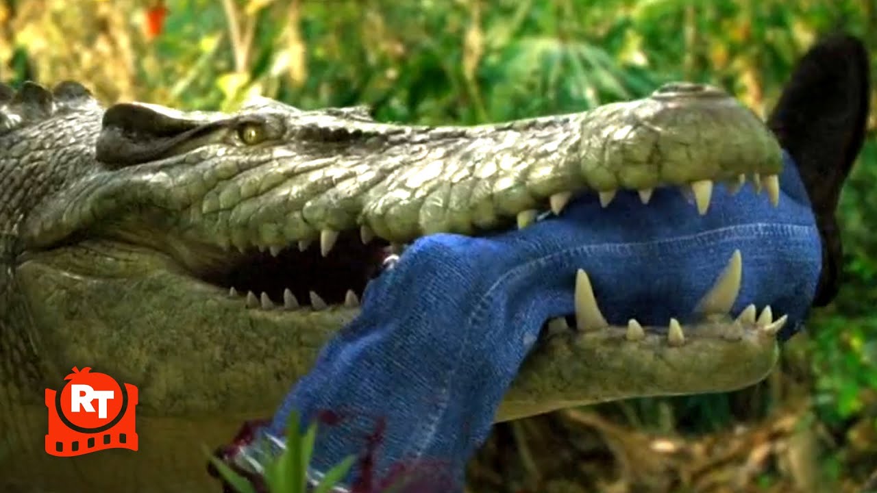 Meth Gator (2023) – Alligator vs. Florida’s Finest | Movieclips