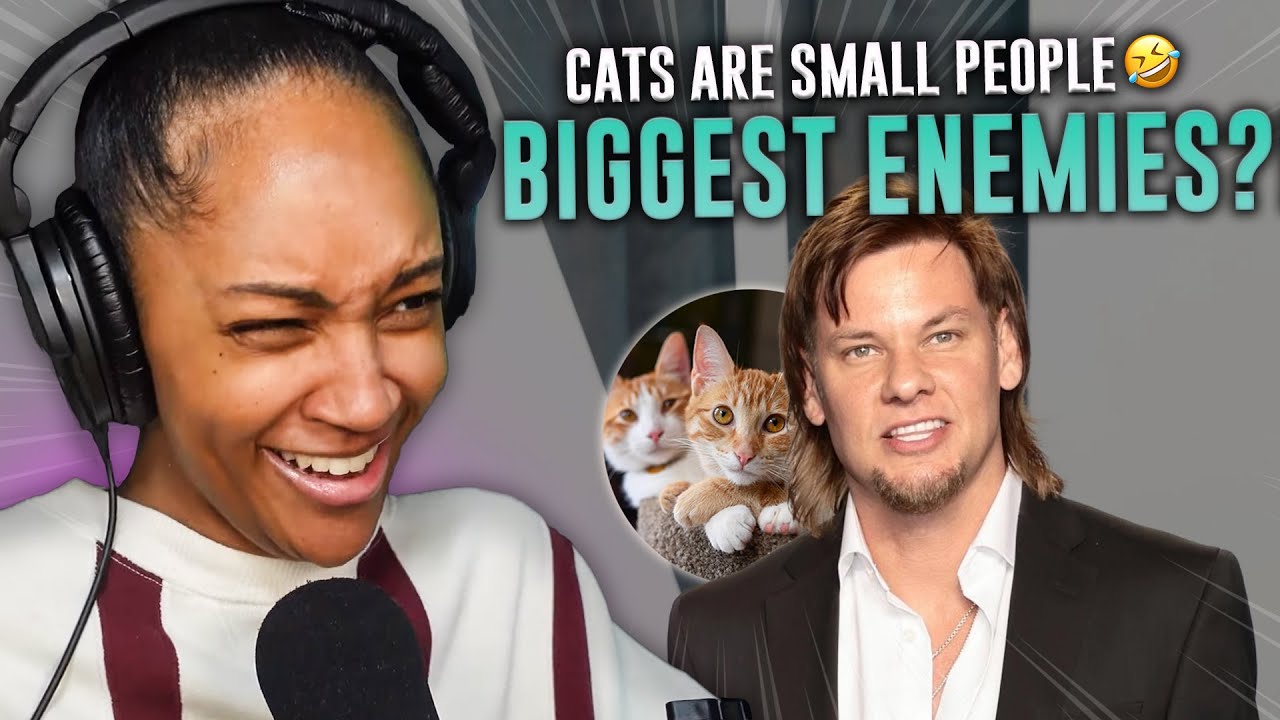 THERE’S NO WAY!  | THEO VON | LITTLE PPL VS. CATS | REACTION