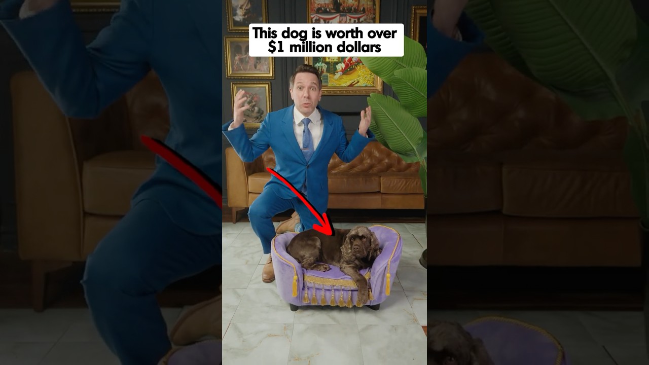 This Dog Is Worth Over 1 Million Dollars