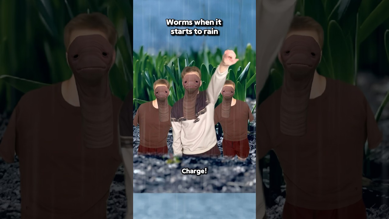 Worms When It Starts To Rain