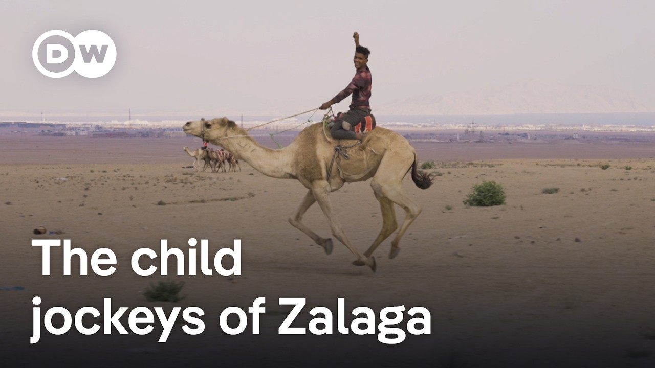 Camel racing in Egypt | DW Documentary