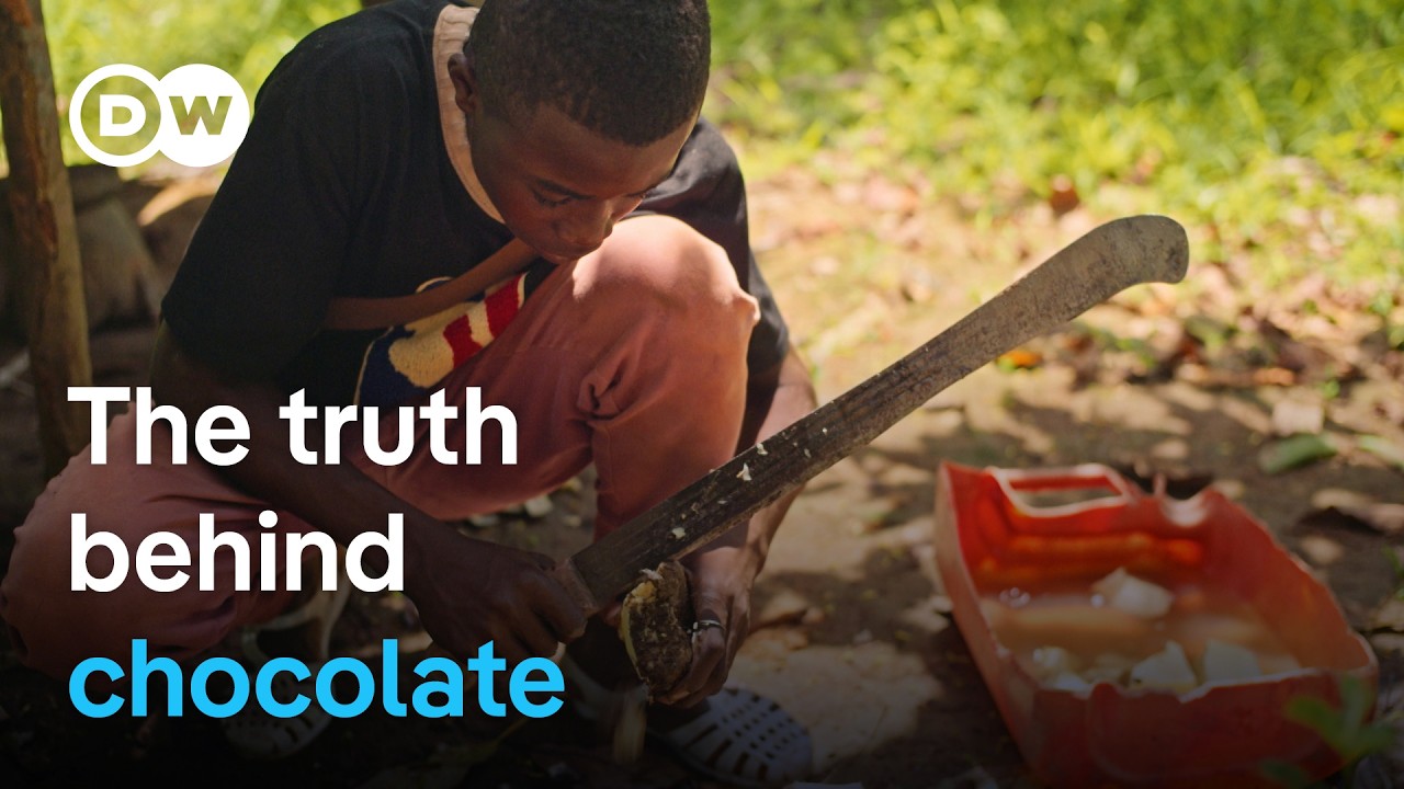 Child labor in the cocoa industry | DW Documentary
