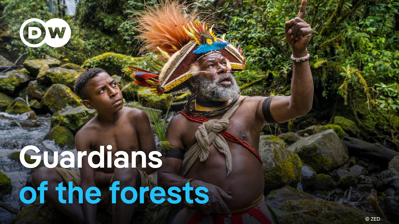 Exploring the rainforest of Papua New Guinea | DW Documentary