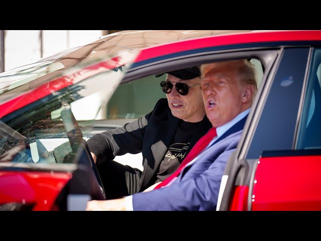 Tesla ‘Brand Damage Is Real,’ Says Wedbush’s Dan Ives