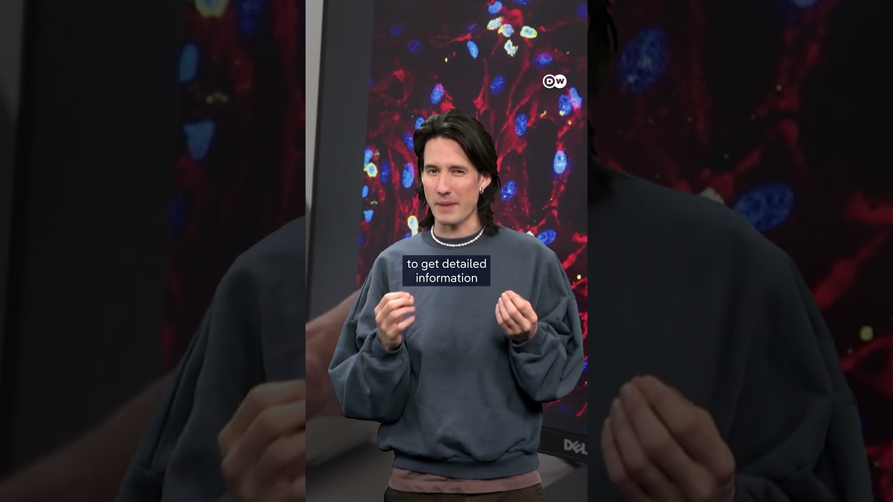 The end of animal testing? | DW Documentary