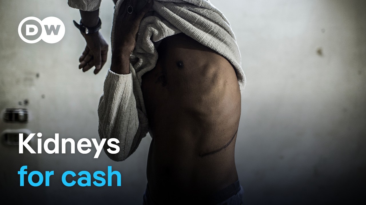 The global organ trafficking network | DW Documentary