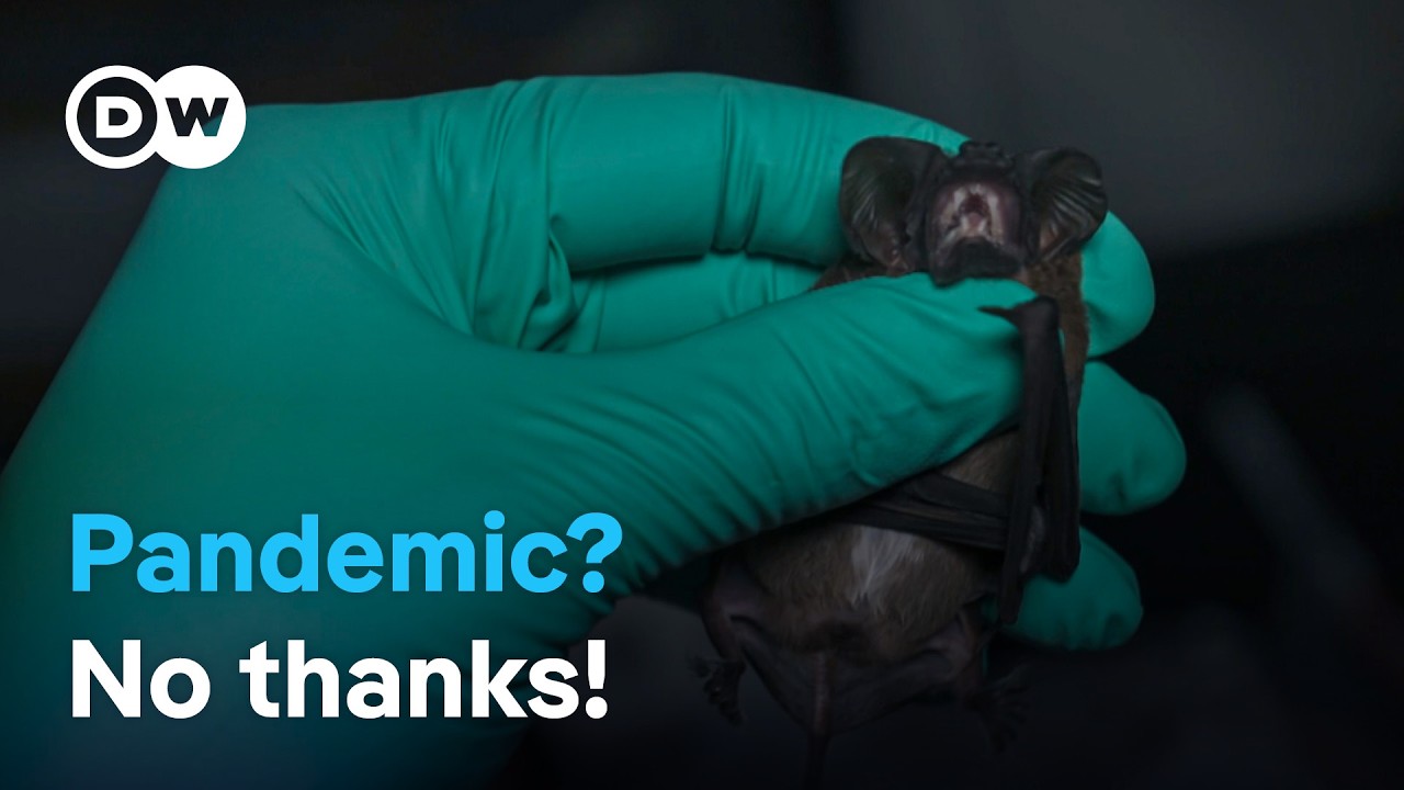 Tracking pandemics: Detecting new diseases early | DW Documentary