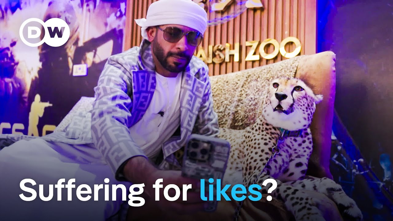 Animals on Instagram – Costumed dogs and tigers in Lamborghinis | DW Documentary