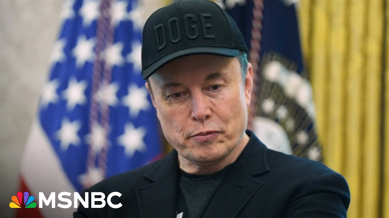 Bulwark editor: Musk may ‘look back with regret’ on time in the White House