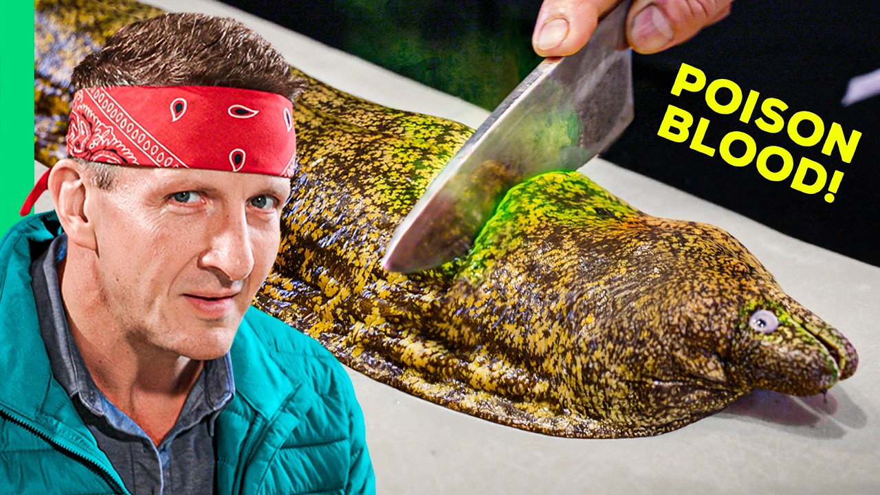 Eating Japan’s Most DANGEROUS Fish!! (Armageddon-Level Diarrhea)