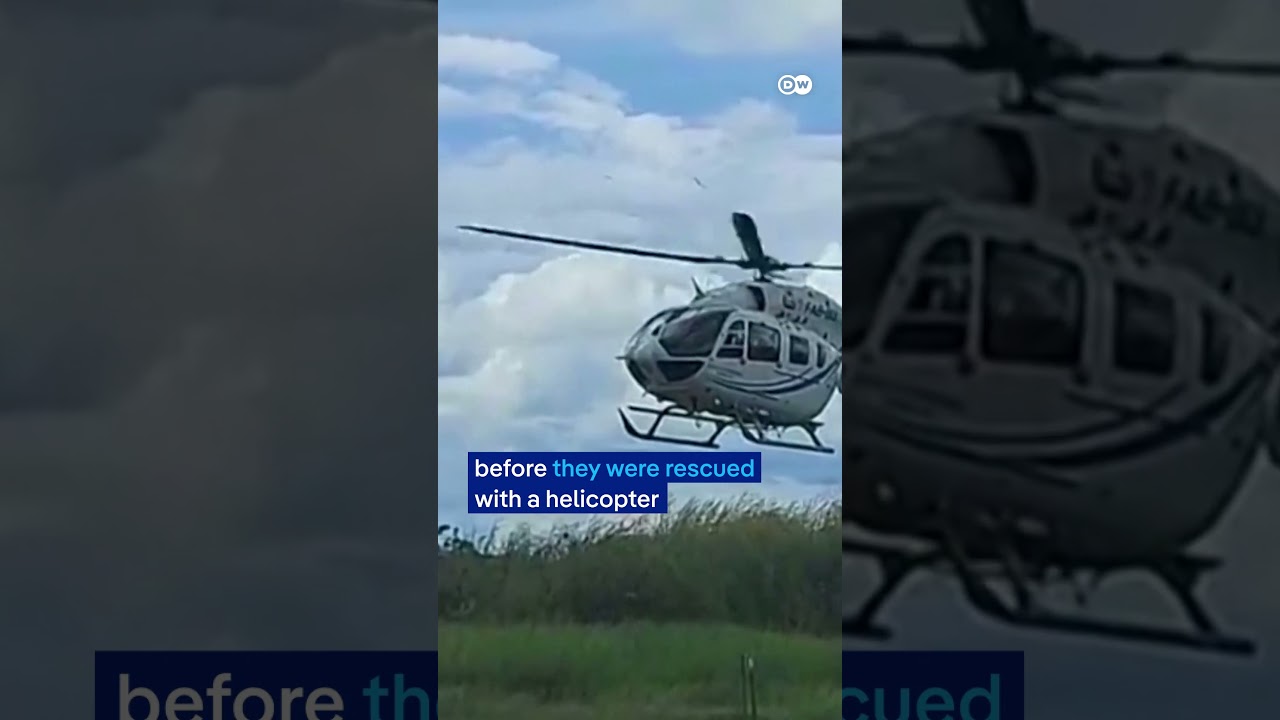 Five found after plane lands in alligator-infested swamp in Bolivian Amazon | DW News