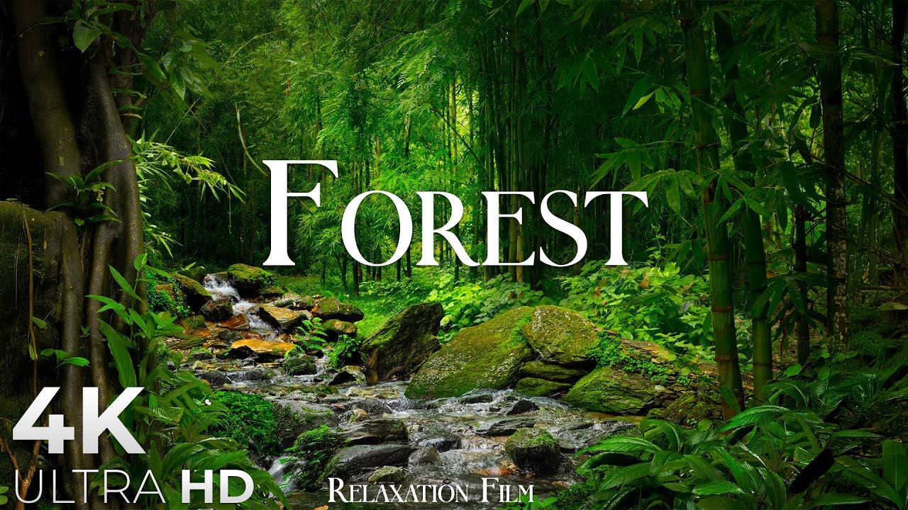 Forest 4K • Unreal Planet | Soundscape Nature Relaxation with Peaceful Music