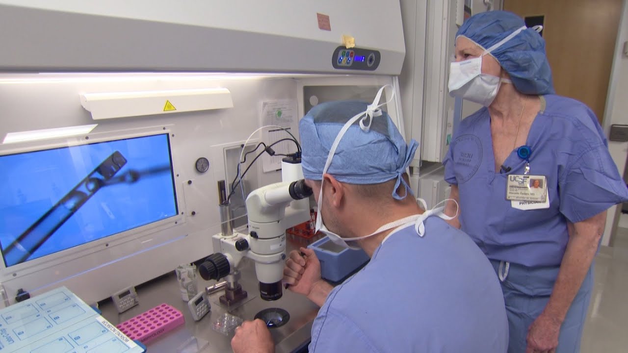 Freezing the Biological Clock | Sunday on 60 Minutes