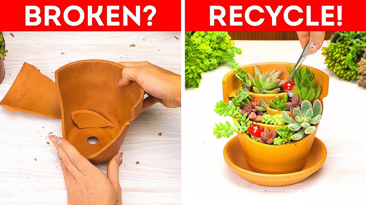 From Trash to Bloom: Genius Garden Hacks Using Everyday Waste! 🌱♻️