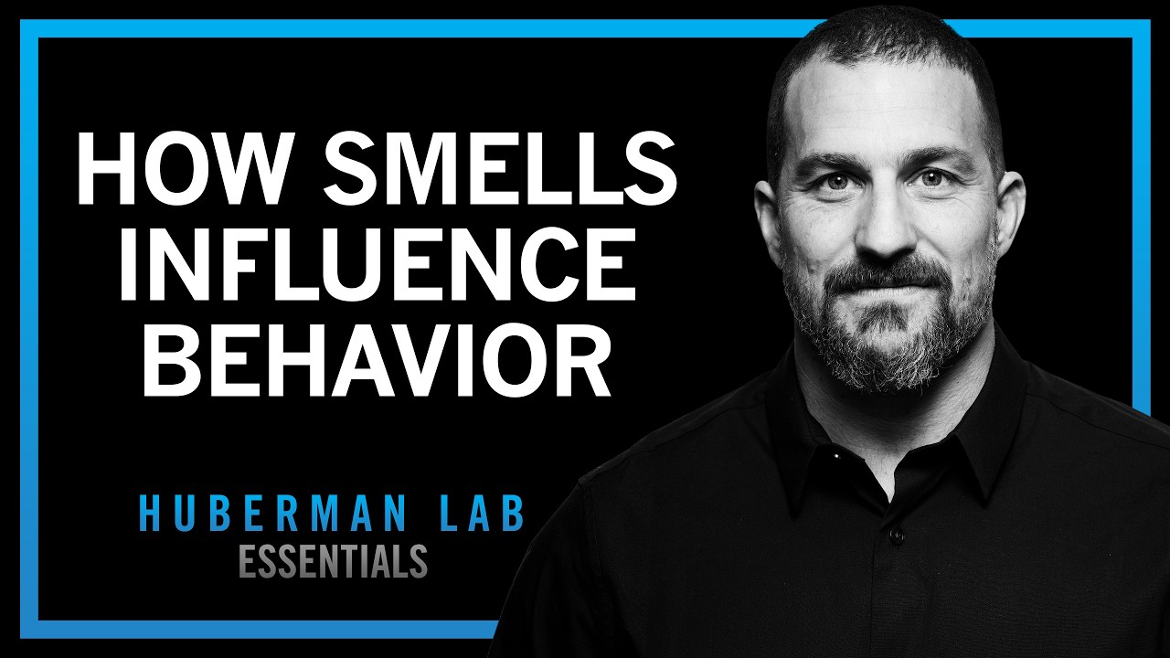 How Smell, Taste & Pheromones Shape Behavior | Huberman Lab Essentials