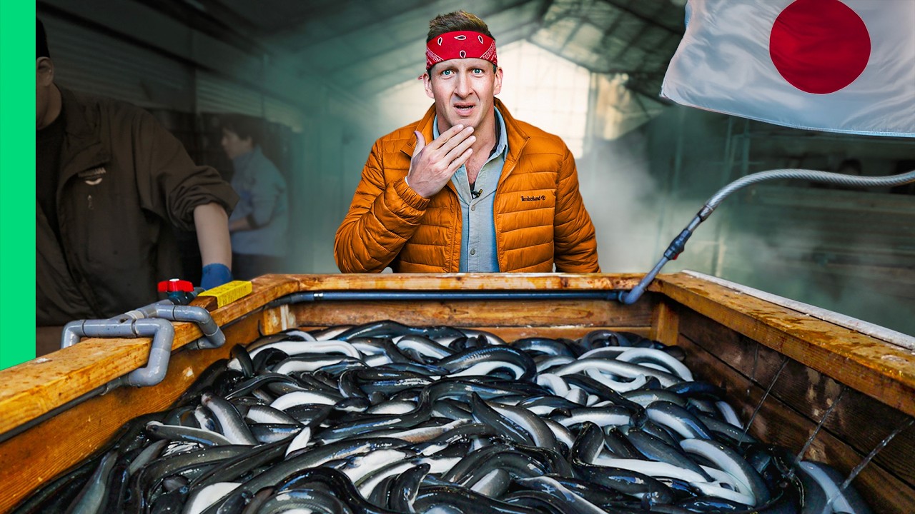 Inside Japan’s Bizarre Seafood Farm!!