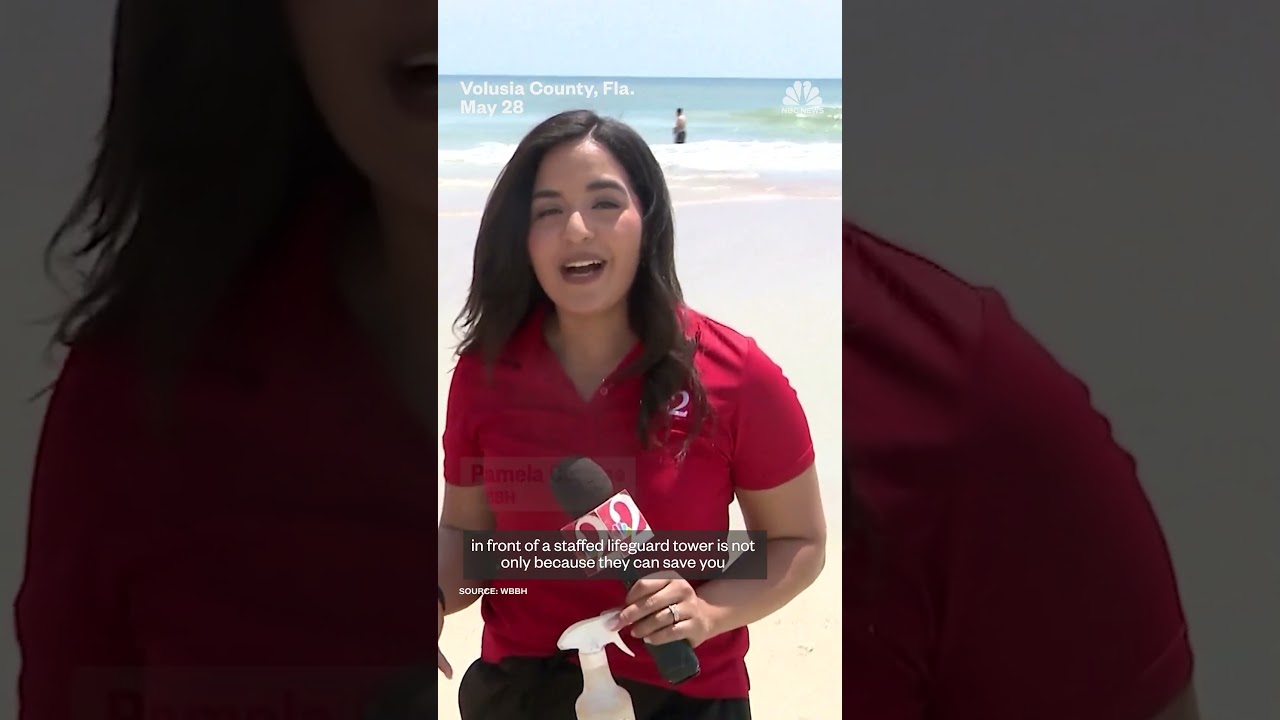 Jellyfish sting hundreds of Florida beachgoers