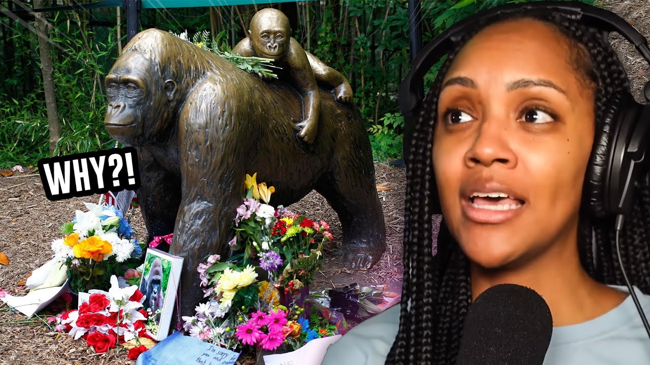 R.I.P. | CASUAL GEOGRAPHIC | Why Harambe’s Death was the Right Choice 4 the Wrong Reasons | REACTION