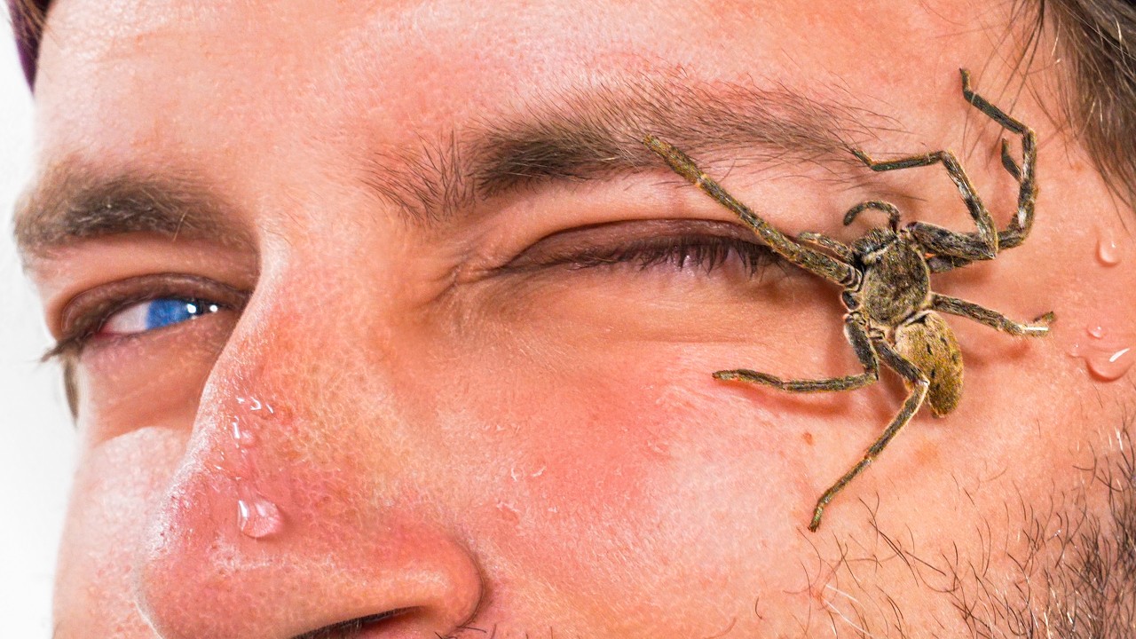 The Boys Face Their Worst Fears