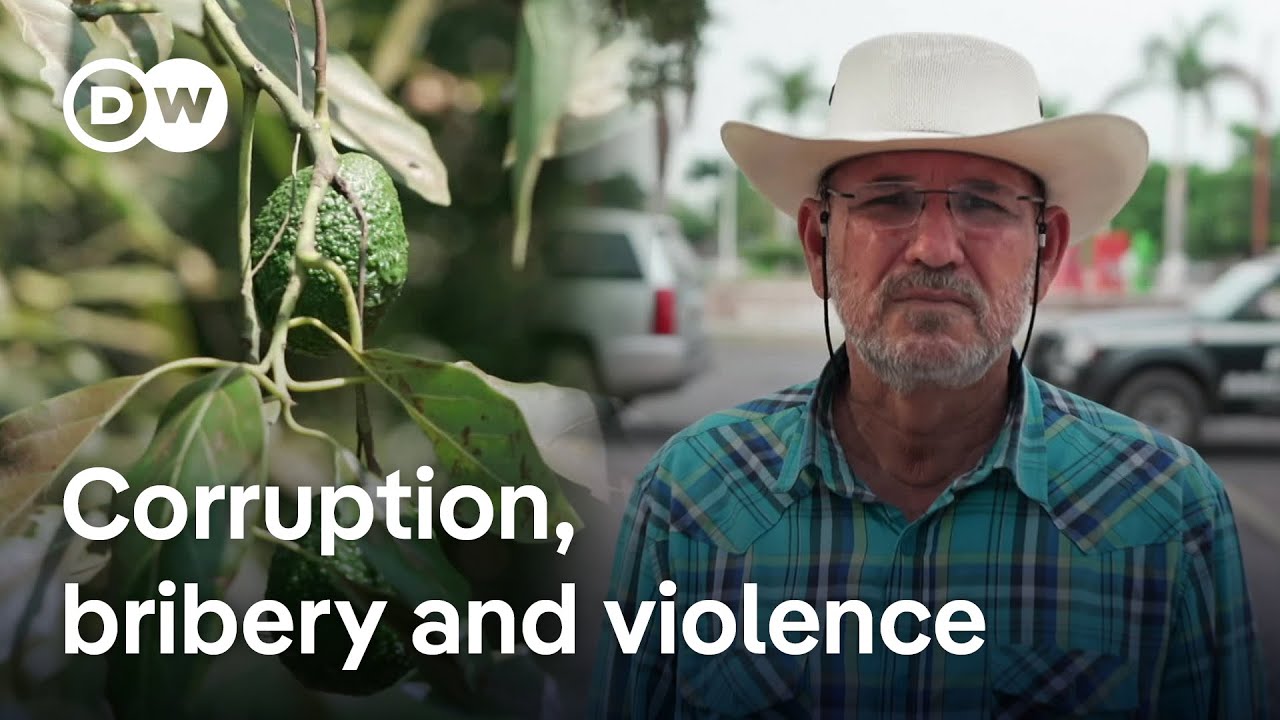 The cartels that control Mexico’s mega market | DW Documentary