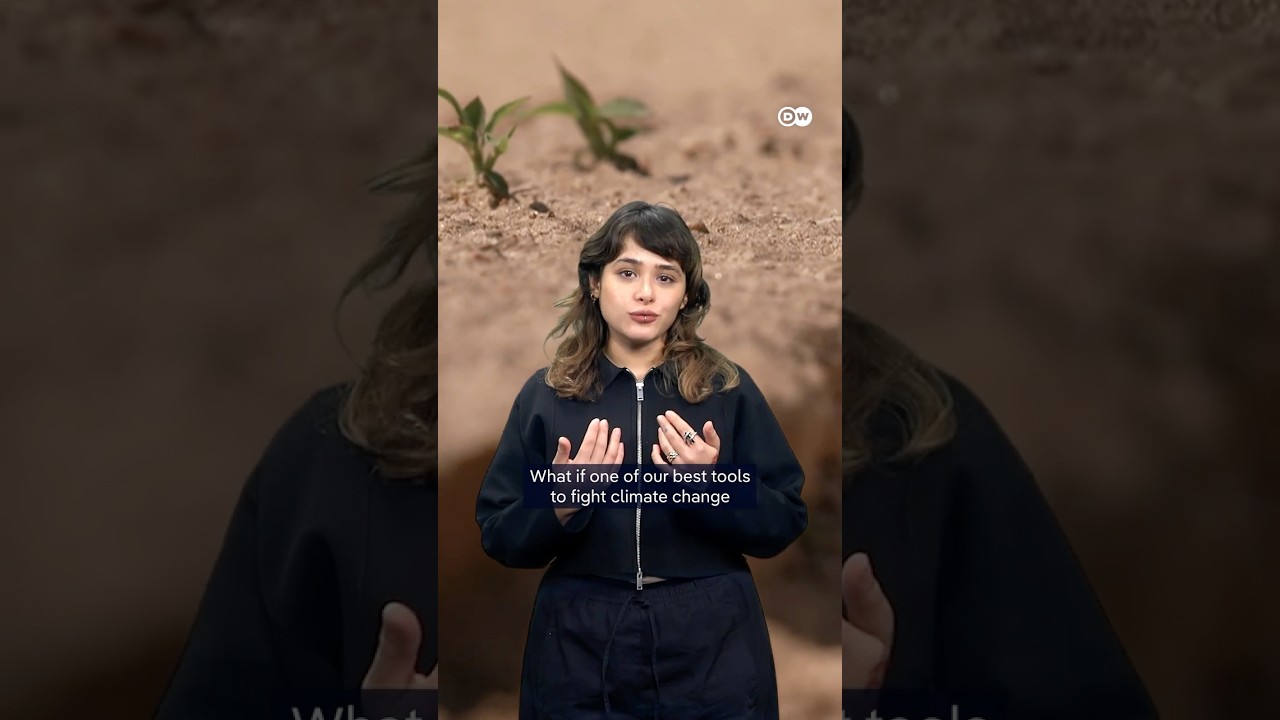 The ground we walk on is alive | DW Documentary