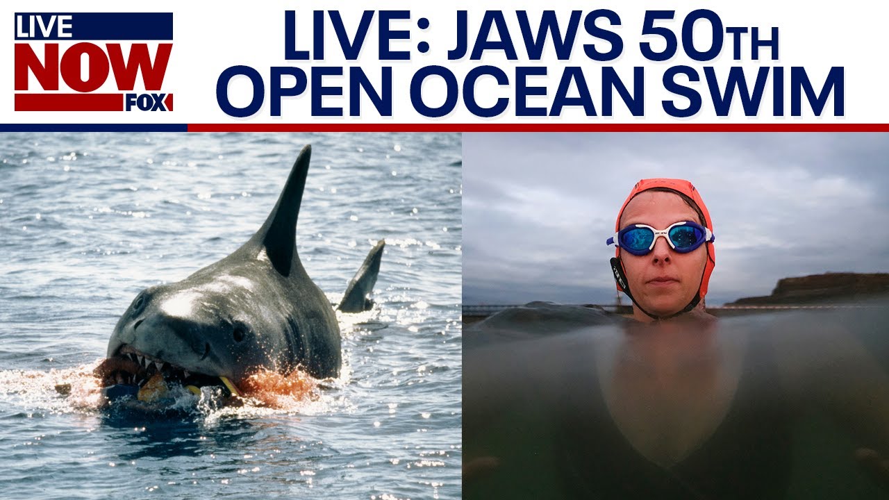 Watch: Lewis Pugh begins Jaws 50th anniversary 62-mile open ocean swim