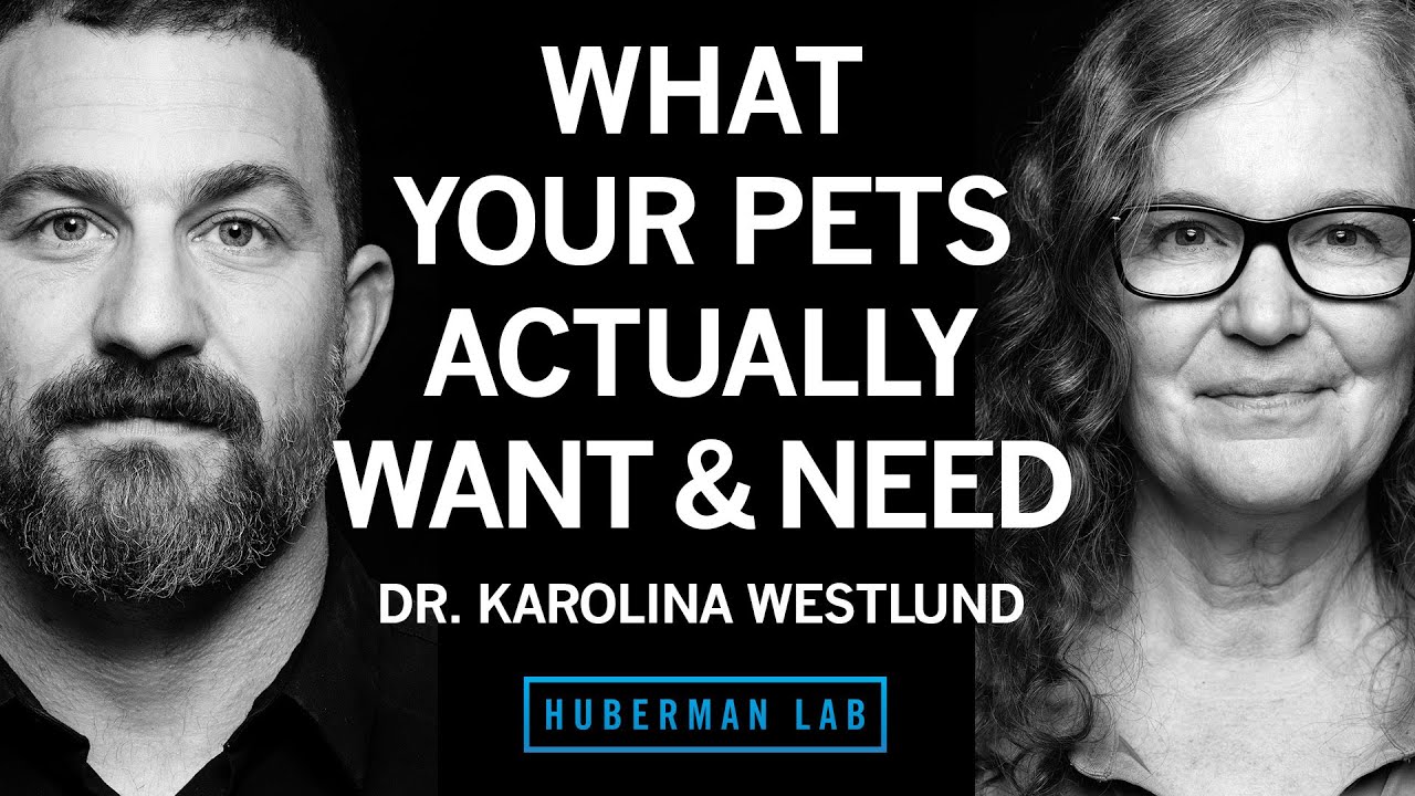 What Pets Actually Want & Need | Dr. Karolina Westlund