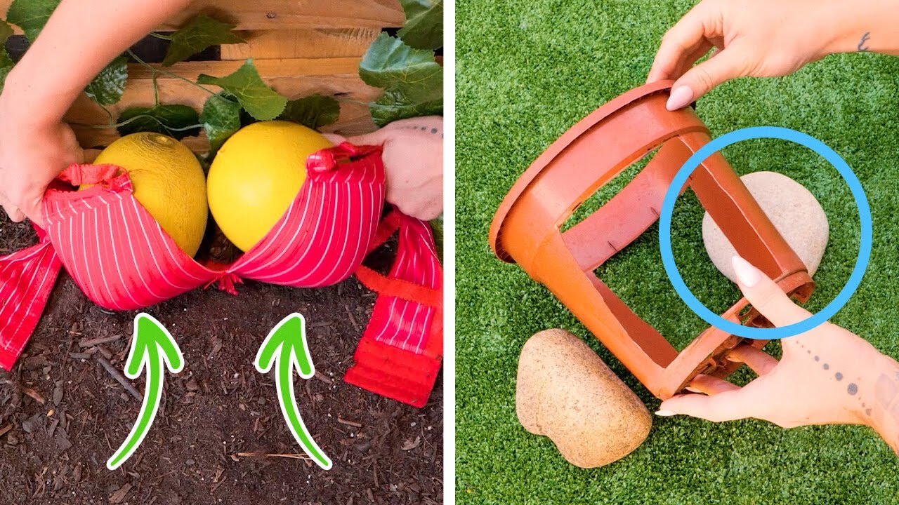 2025’s Top Gardening & Backyard Hacks That Really Work! 🌿🛠️ #gardenhacks