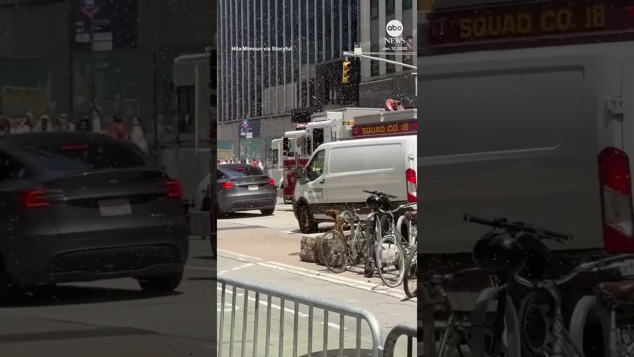 Bee swarm buzzes around midtown Manhattan