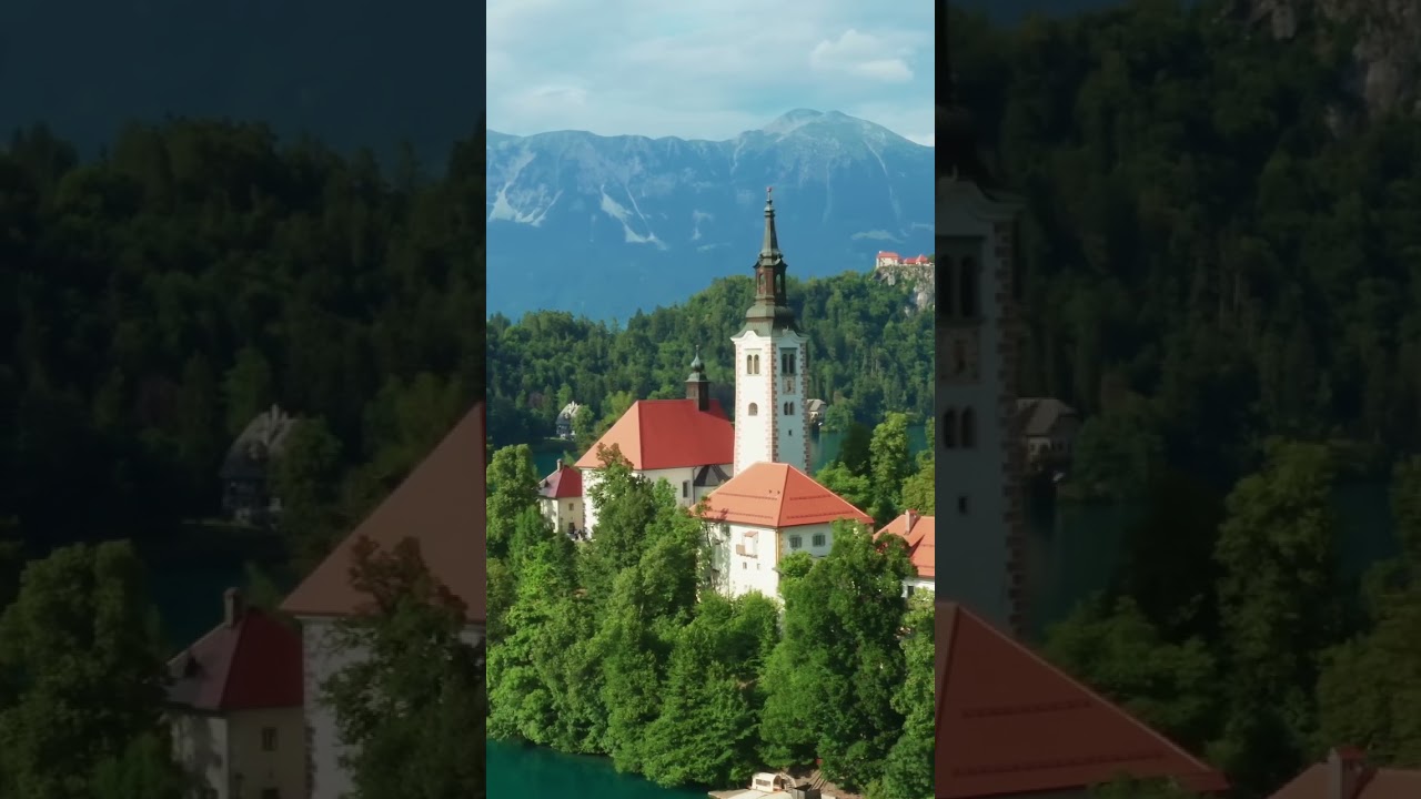 Calm Morning Music with Nature Vibes 🌿 | 4K #Short for Relaxation