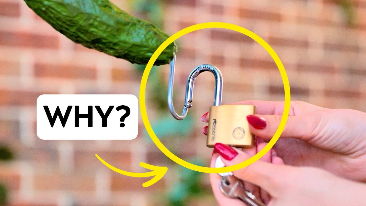 Cozy Garden Hacks for Indoors & Outdoors 🌼 Perfect for Beginners!