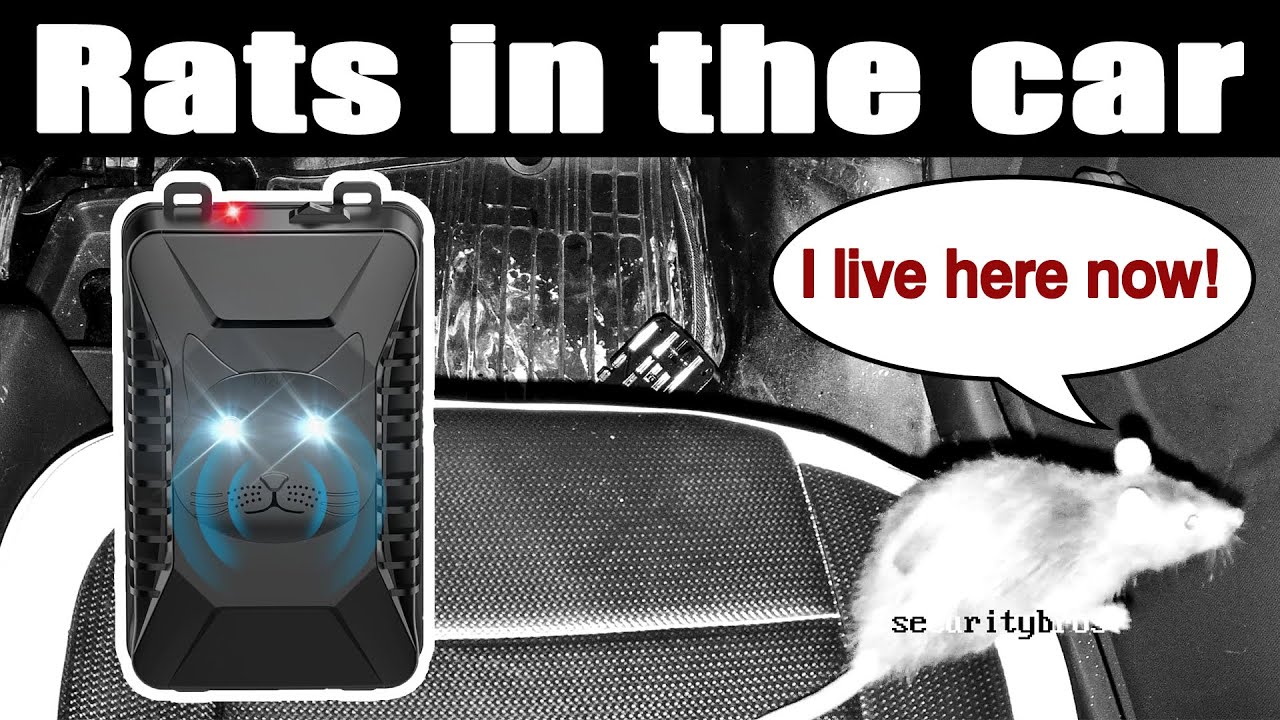 Do Ultrasonic Rat Repellers & Peppermint Oil Really Work? | Car Rodent Problem Solved!