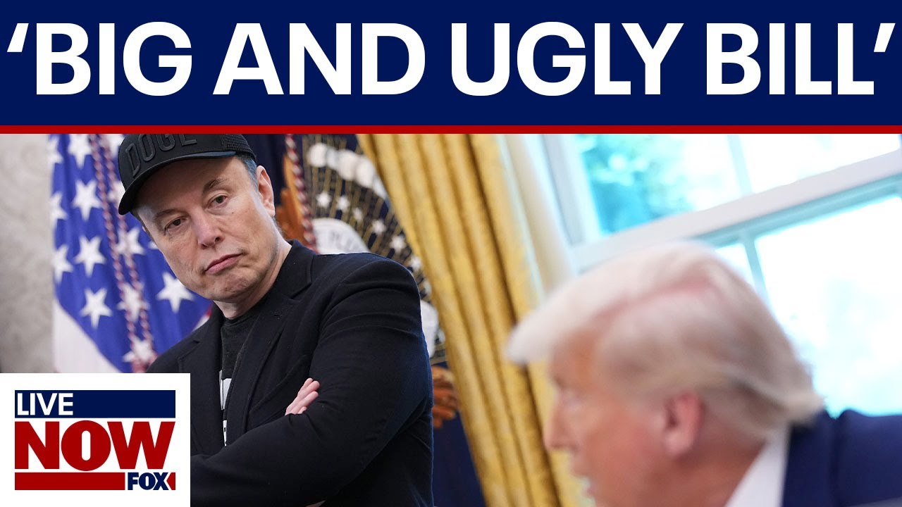 Elon Musk on Trump: ‘Without me, Trump would have lost the election’