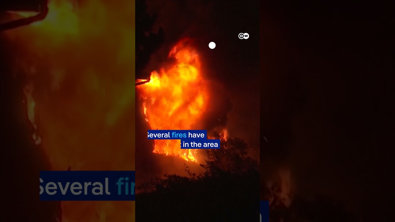 Firefighters in Turkey battle to contain wildfires | DW News