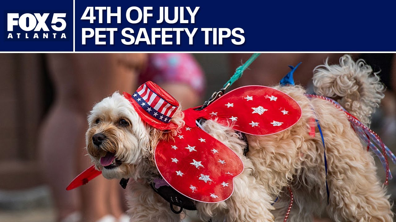 Fireworks, July 4 safety for pets | FOX 5 News