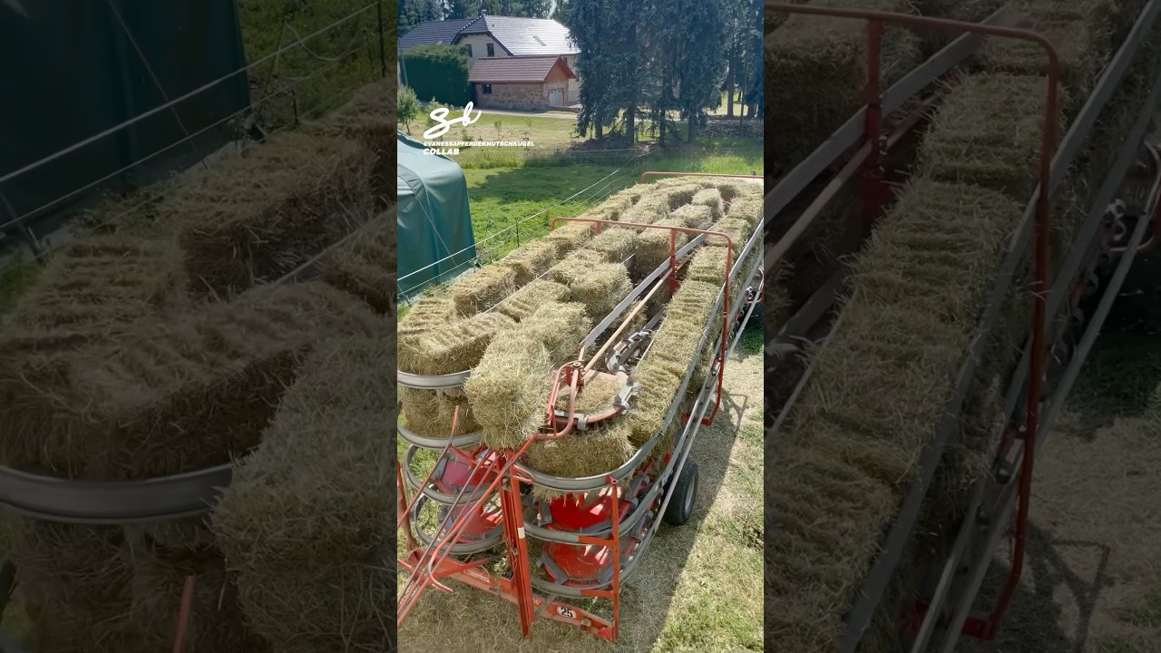Hay Bale Conveyor Belt! 🧑‍🌾 #farming #farm #haybales