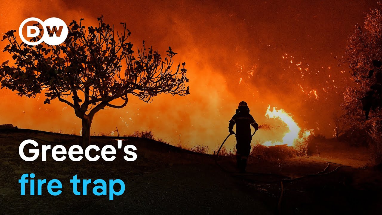 How Athens is preparing for the next wildfire catastrophe | Focus on Europa