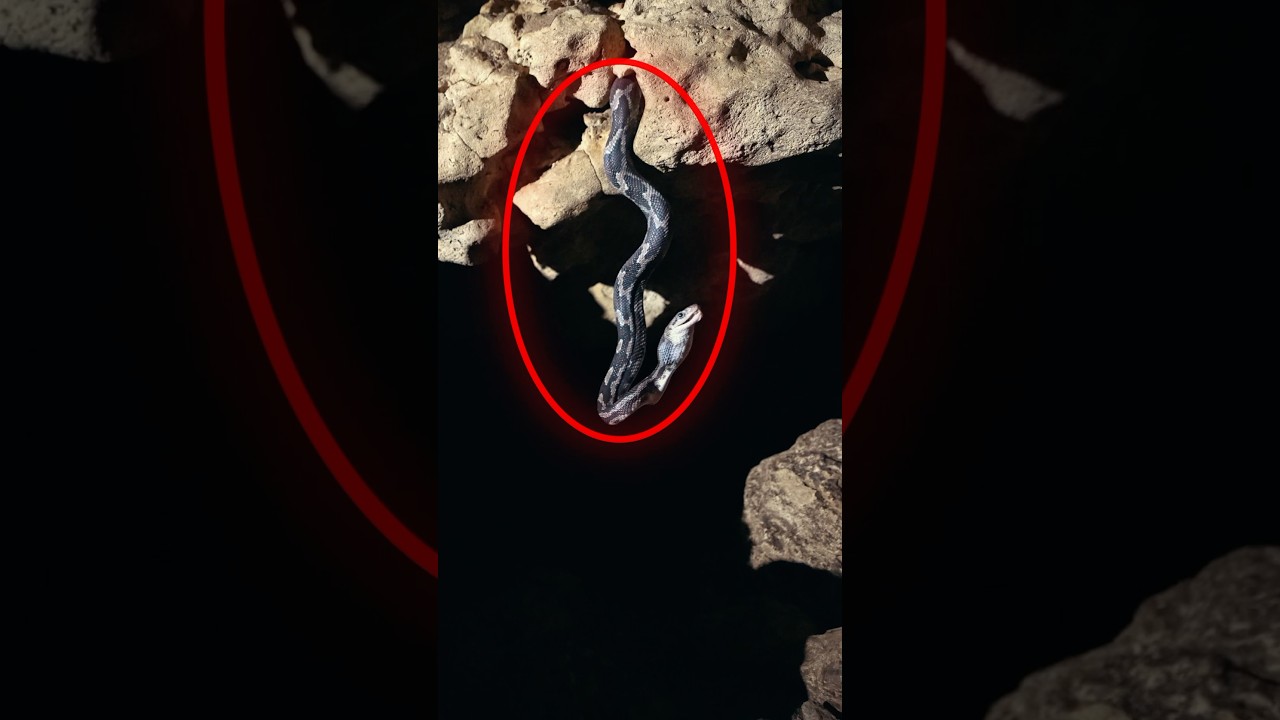 I Found “The Cave of Hanging Snakes” on Google maps
