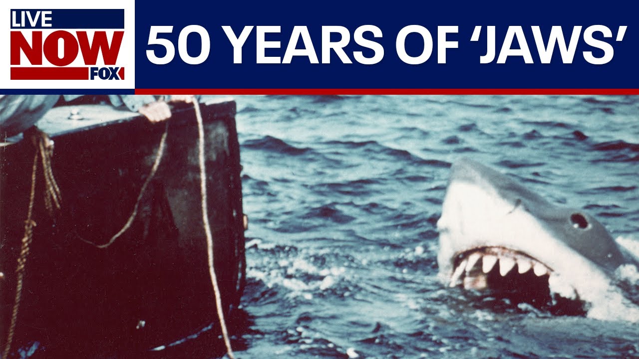 ‘Jaws’ 50th anniversary: How the iconic Steven Spielberg film has impacted film and culture