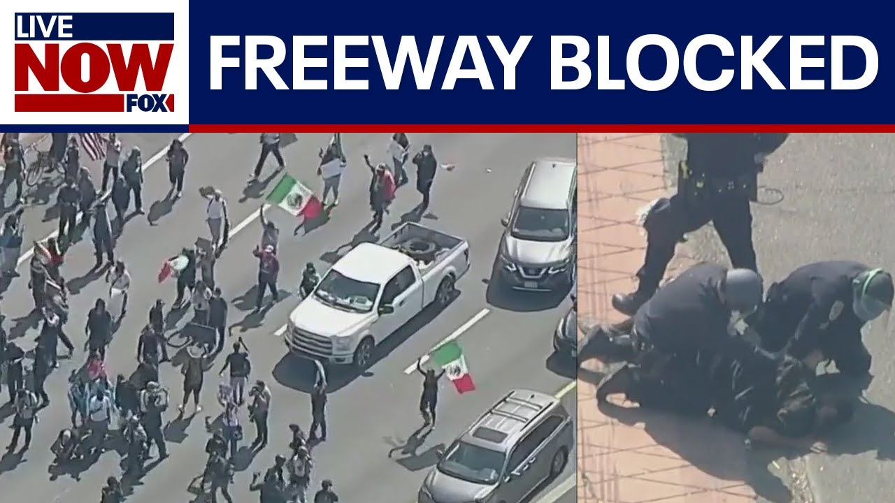LA anti-ICE protesters, police clash on major freeway | LiveNOW from FOX