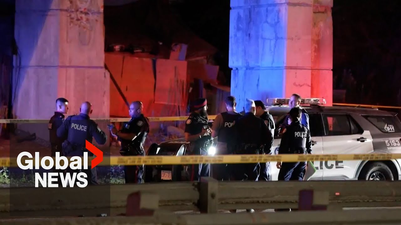 Man falls from Toronto’s Gardiner Expressway after police pursuit for alleged armed carjacking