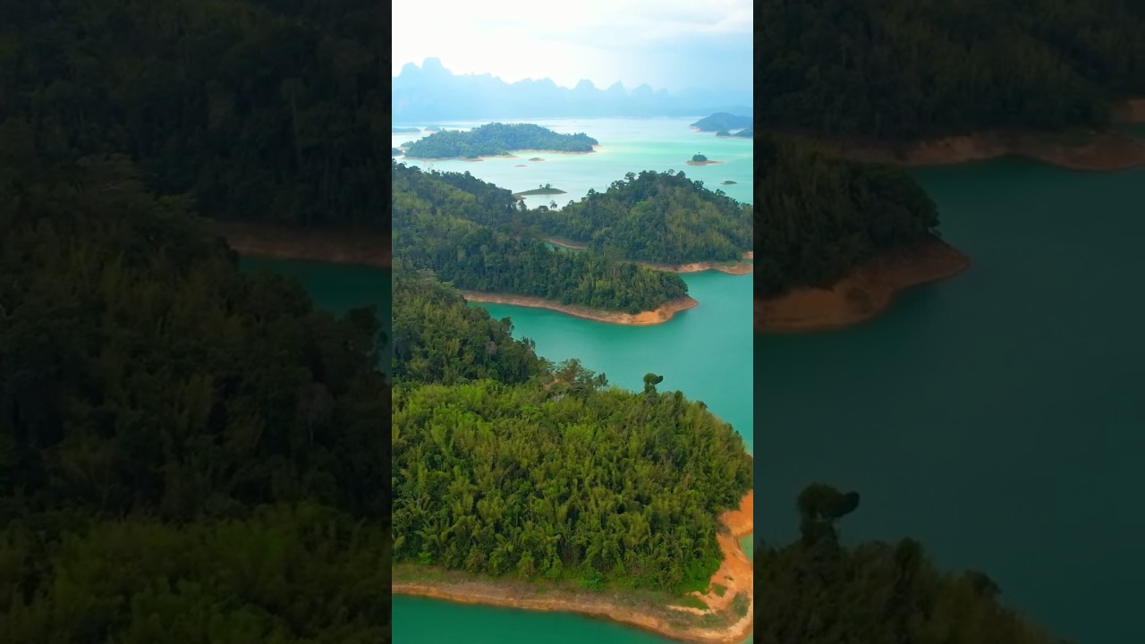 Morning Calm in Nature 🌿 | Peaceful Music for a Fresh Start #relaxingmusic