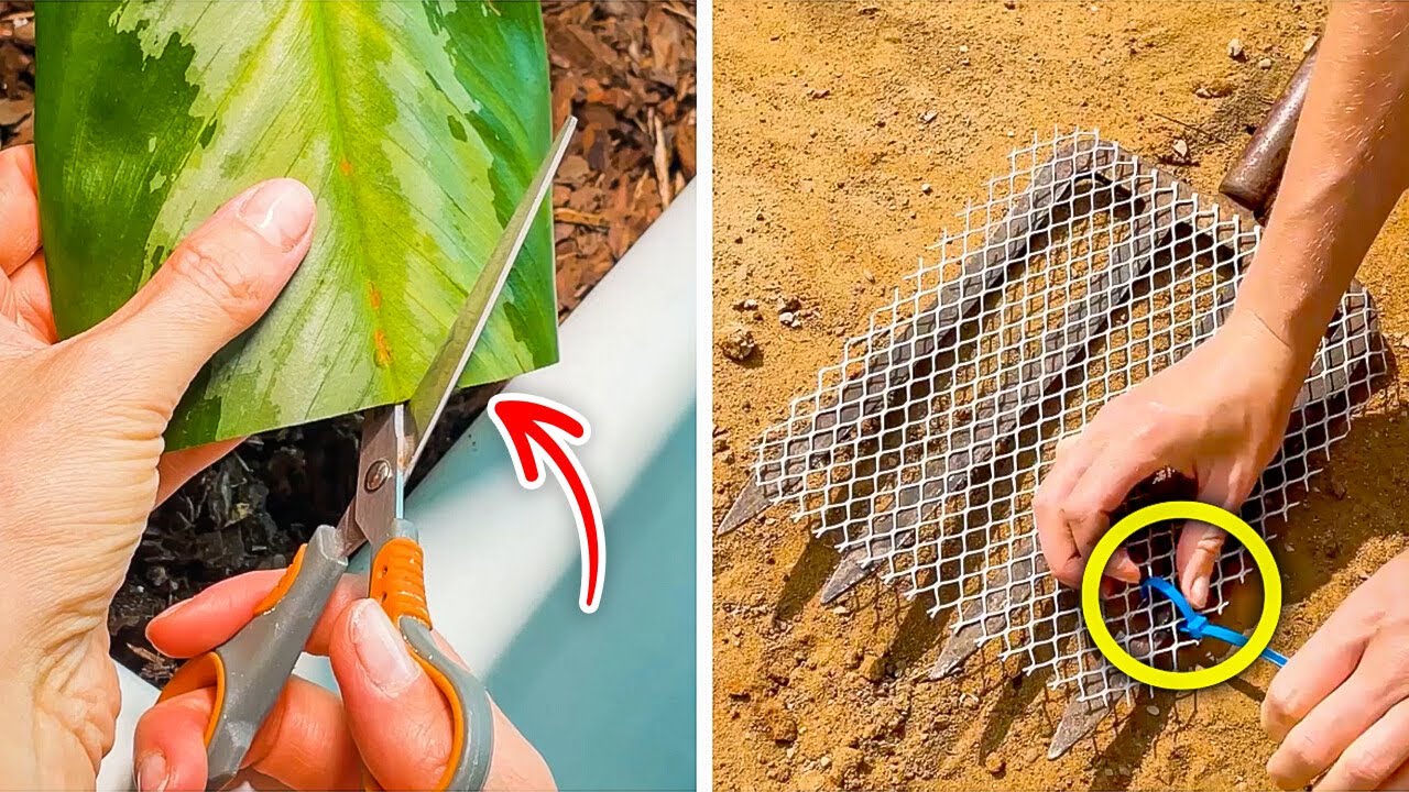 Must-Know Gardening Tricks Every Plant Lover Will Obsess Over! 🌸🪴