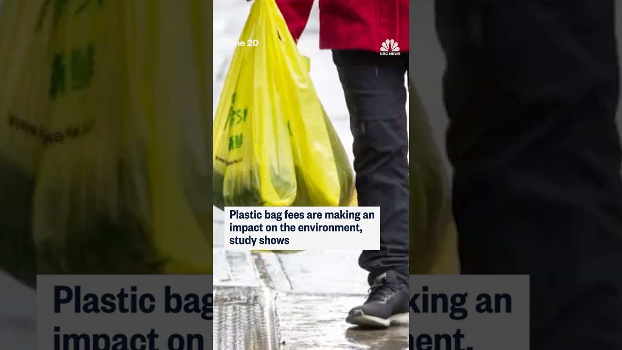 Plastic bag fees are making an impact on the environment, study shows